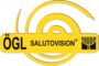 Salutovision Logo